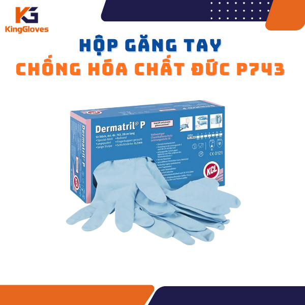 HỘP GĂNG TAY CHỐNG HÓA CHẤT ĐỨC P743