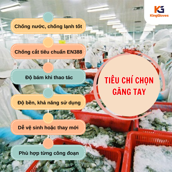 Tiêu chí chọn găng tay chuyên dụng thủy hải sản đạt chuẩn