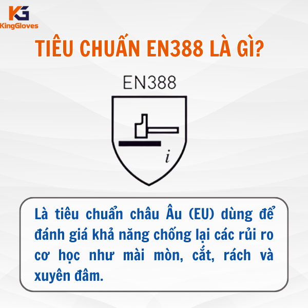 Tiêu chuẩn EN388 cho găng tay là gì?