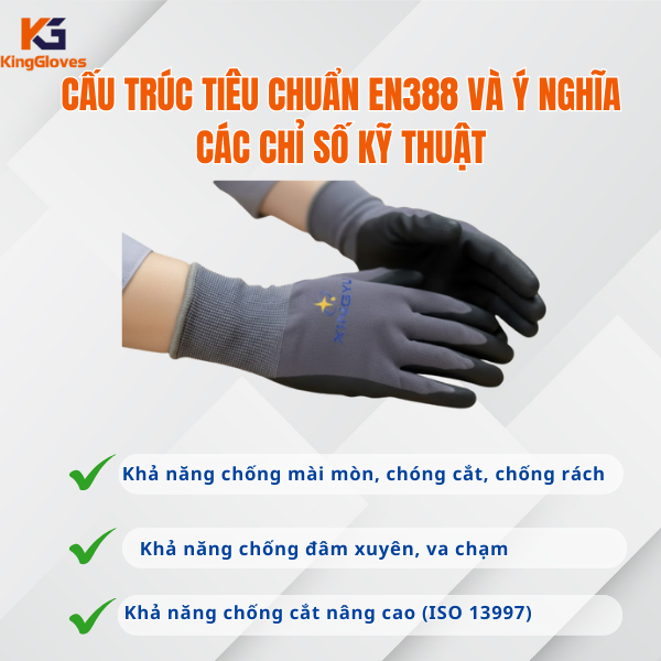 Cấu Trúc Của Găng Tay Bảo Hộ Theo Tiêu Chuẩn EN388 Và Ý Nghĩa Chỉ Số